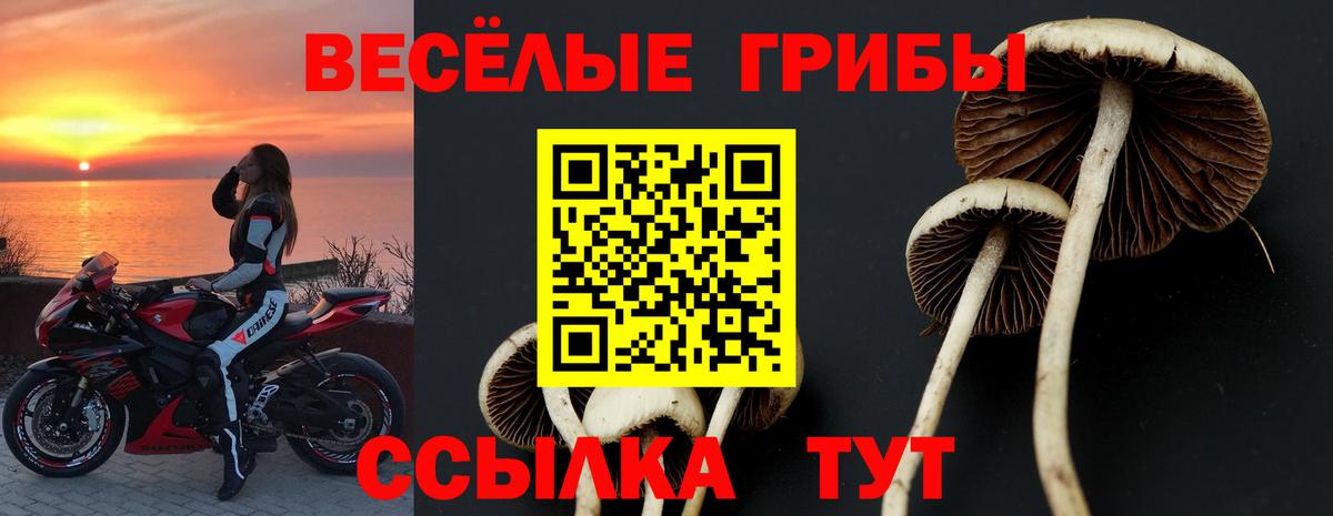 Галлюциногенные грибы Psilocybe  Вход с VPN  Ялуторовск 